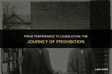 A Journey into Prohibition, Values, and Community