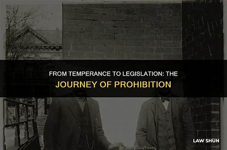 A Journey into Prohibition, Values, and Community
