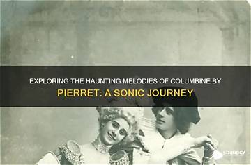A Journey of Introspection and Haunting Melodies