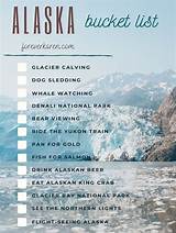 Alaska's Top-Rated List of Dogs for Unforgettable Adventures