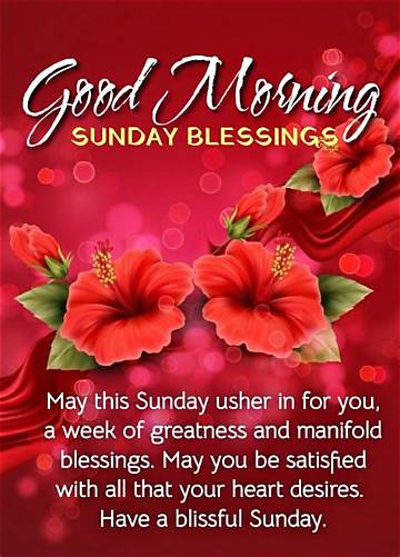 Astonishing Good Morning Sunday Pictures | Images That Brighten Your Weekends