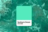 Can You Use Seafoam in a 2 Stroke Outboard Engine?