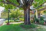 Carolina Heirlooms Series: Discover the Rich History of the Tar Heel State