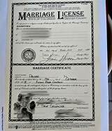 Colorado Dog Marriage License: Everything You Need to Know