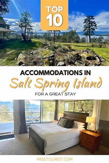 Discover the Ultimate Accommodation Near the Salt Shed Chicago
