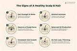 Discover Your Path to Healthy Hair: the Revolutionary Hair Stimulation Brush