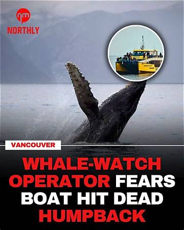 Discoveries from the Tragic Whale Incident in Hawaii