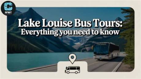Everything You Need to Know About Louise Paxton's Age