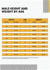 Height, Weight, Age, and Basketball Journey