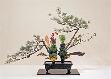 Hisachi Ochi: the Art of Japanese Ikebana