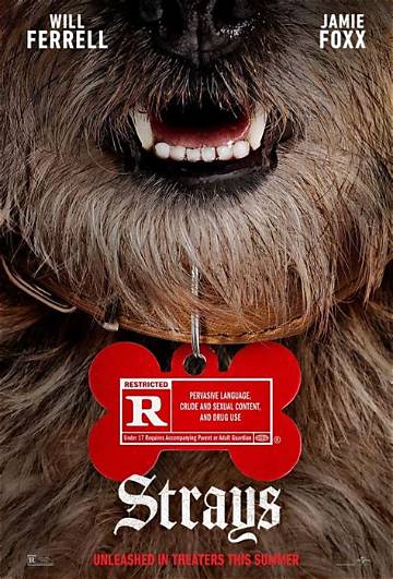 Is the Movie Strays Appropriate for Kids? a Comprehensive Guide for Parents