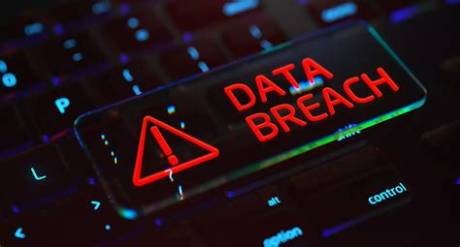 Jellybeanbrains Data Breach: Leaked Information Exposed