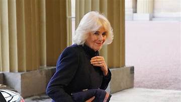 Leaked Footage Reveals True Nature of Camilla Aurojo: Uncovering the Hidden Truth