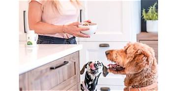 Meet Your Pet's New Best Friend for Optimal Well-Being