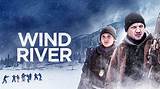 Movies Like Wind River You Should Watch Next | Similar Movies to Wind River