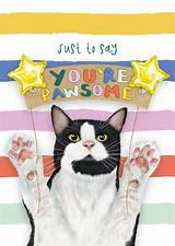 Pawsome Tuxedo Cat Day: Celebrating the Dapper Felines