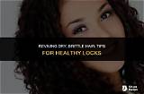Reviving Dry Brittle Hair: Discover the Ultimate Shampoo Solution