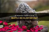 Romantic Valentine's Day at the Seattle Aquarium