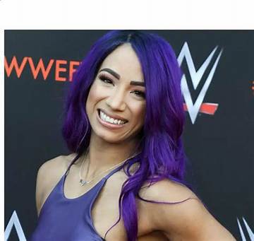 Sasha Banks Net Worth Wiki Age Weight And