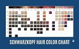Schwarzkopf Hair Color Chart: Find Your Perfect Shade
