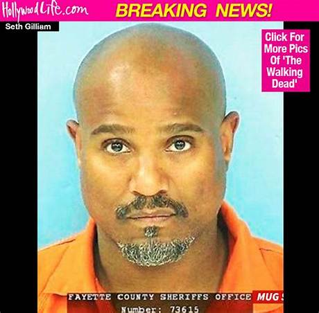 Seth Gilliam Arrested: Walking Dead Star Seth Gilliam Arrested