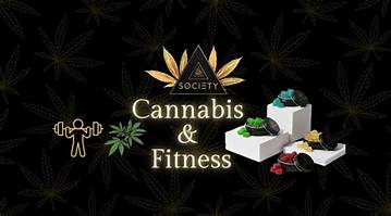 Snoopable Edibles: Elevate Your Mood with Snoop Dogg Gummies