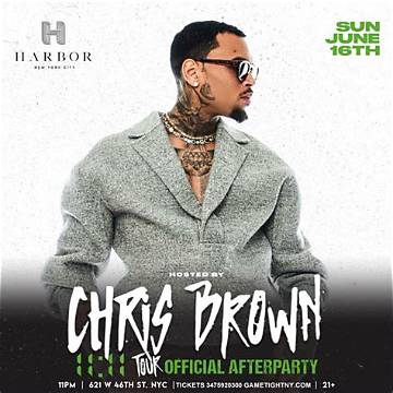The Astonishing Wealth of Chris Brown: Unveiling the Fortune