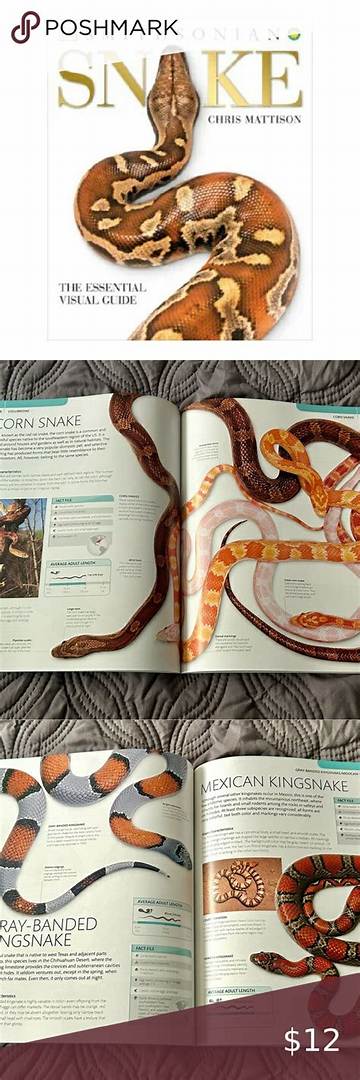 The Essential Guide to Monkey and Snake Compatibility: Harmonious or Challenging?
