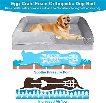 The Ultimate Comfort: Bolster Dog Beds Designed for Large Canine Companions