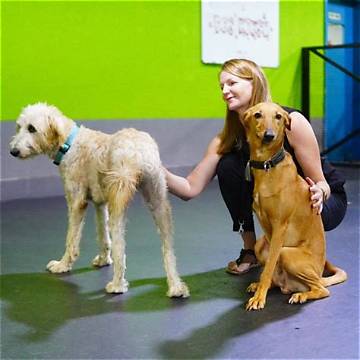 The Ultimate Dog Boarding Experience: Georgetown Texas | Reliable and Loving Care