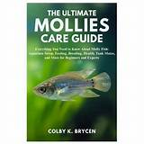 The Ultimate Guide to Molly Nobligg: Everything You Need to Know