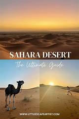 The Ultimate Guide to Sahara Rose Steven Haddad: Insights, Practices, and Transformative Wisdom