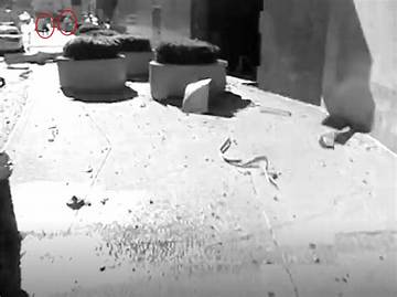 Unraveling the Mystery: the Lost **Lol Superman Video 9/11** and Its Enduring Search