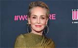 Unveiling Sharon Stone's Net Worth in 2024: Secrets and Strategies Revealed
