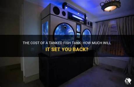 Unveiling the Cost of Tanks on "Tanked": a Comprehensive Breakdown