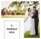 Unveiling the Enchanting World of Murray Hill Wives: Discoveries and Insights