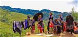 Unveiling the Ethnic Heritage of Mai-Linh Lofgren