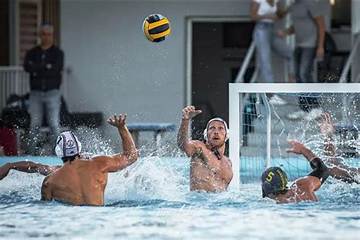 Unveiling the Water Polo Prowess of Zsuzsi Starkloff: an Encyclopedic Journey