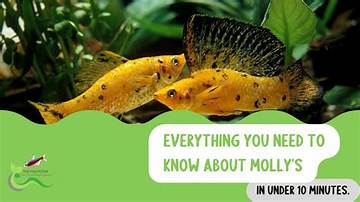 What You Need to Know About Molly Noblitt's Distinctive Face
