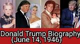 When Was Donald Trump Born: the Definitive Timeline