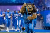Your Little Lions: Celebrate Your Detroit Lions Newborn