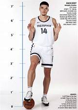 Zach Edey's Height: Towering over the Competition